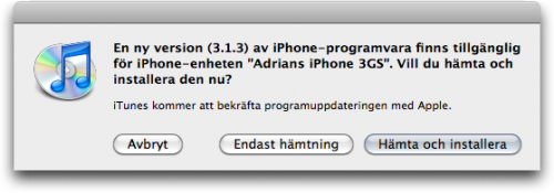 iPhone OS 3.1.3